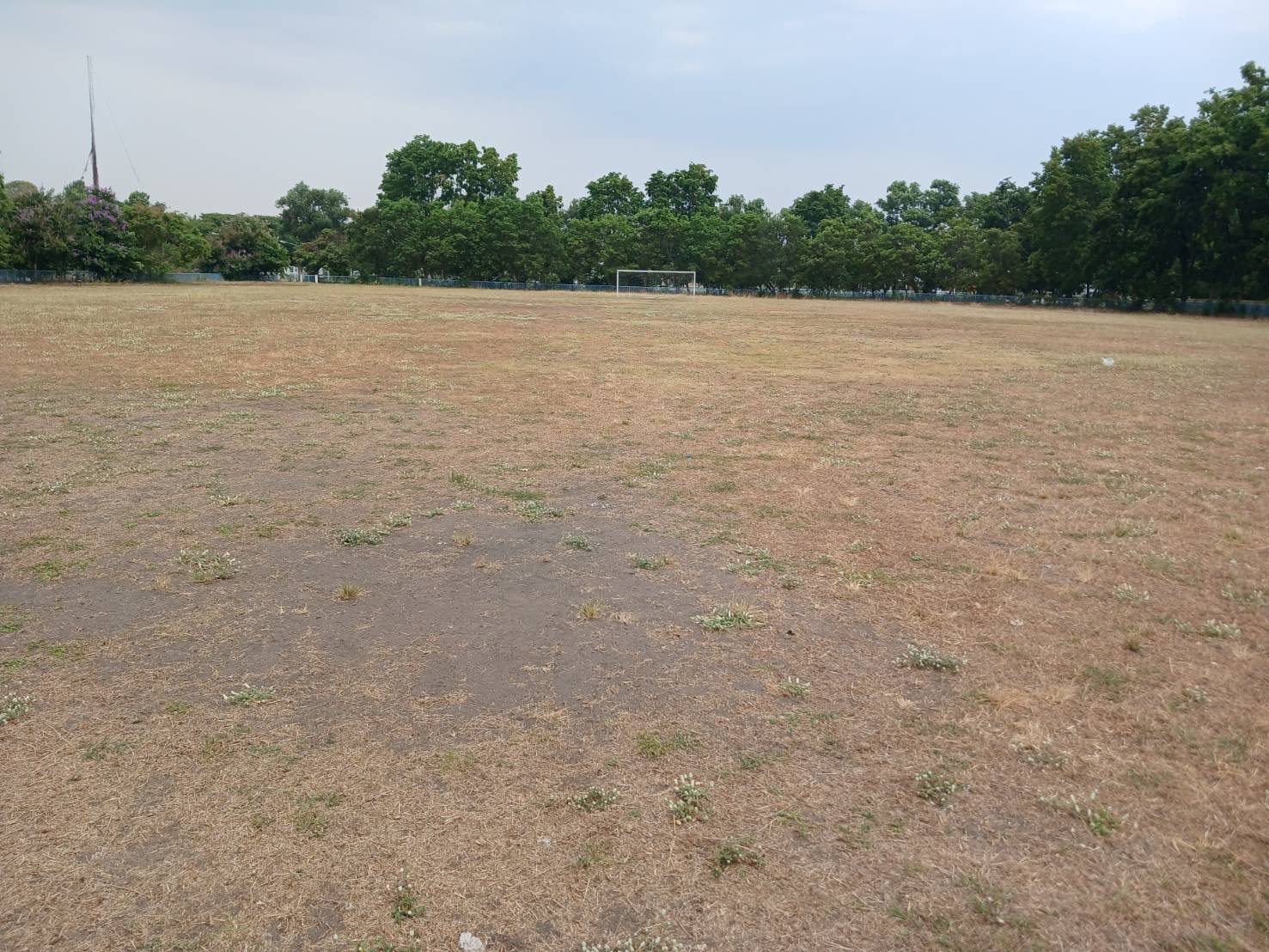 รูปที่ 6